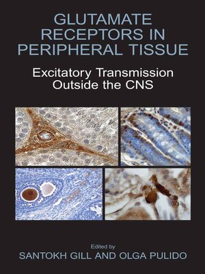 cover image of Glutamate Receptors in Peripheral Tissue